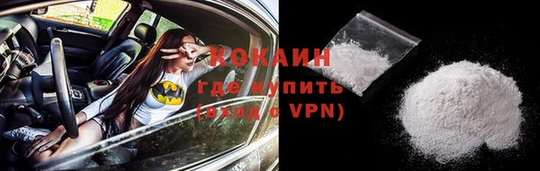 гашик Майский