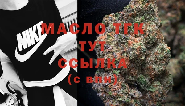 гашик Майский