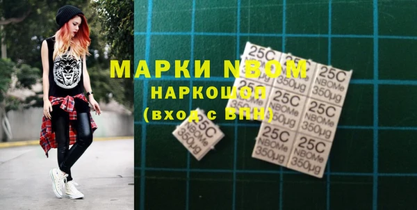 гашик Майский