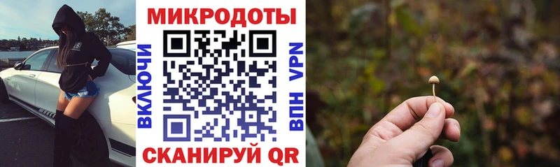 Галлюциногенные грибы Psilocybe  Переславль-Залесский 