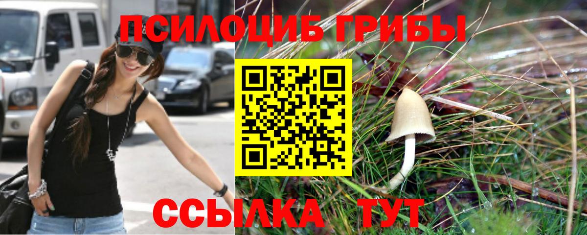 Галлюциногенные грибы Psilocybine cubensis  Переславль-Залесский  Псилоцибиновые грибы Magic Shrooms 