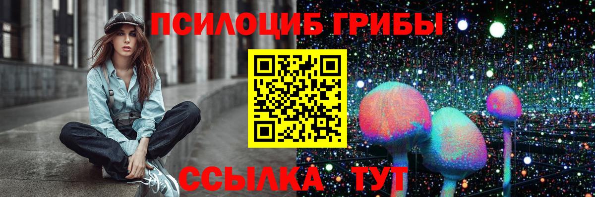 Псилоцибиновые грибы прущие грибы Переславль-Залесский