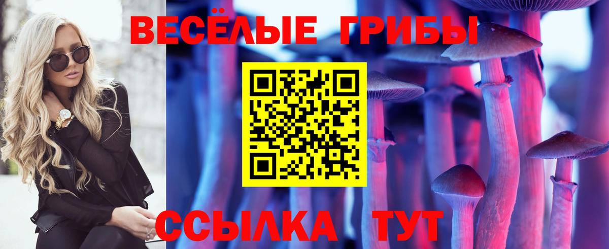 Галлюциногенные грибы мицелий  Вход с VPN  Переславль-Залесский 